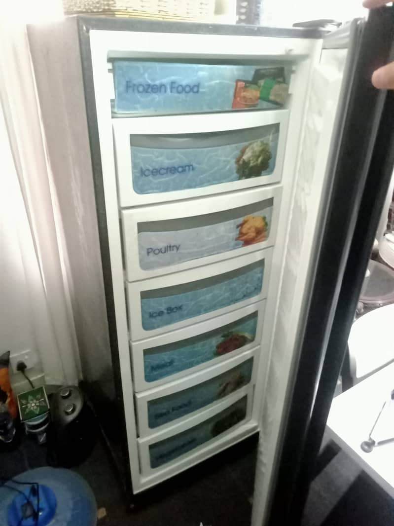 Dawlence Vertical Freezer 2