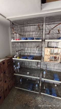 lovebird folding cages and boxes