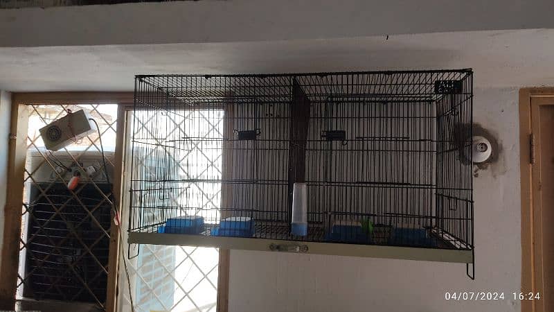 lovebird folding cages and boxes 2