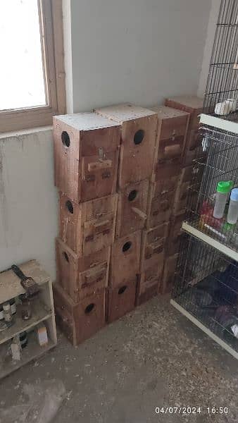lovebird folding cages and boxes 7