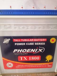 phoenix New battery tublar