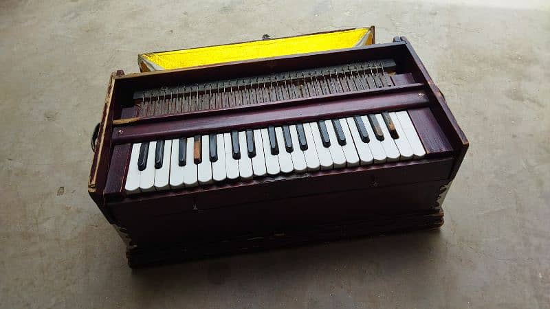 original German jubbilet Harmonium for sale 5