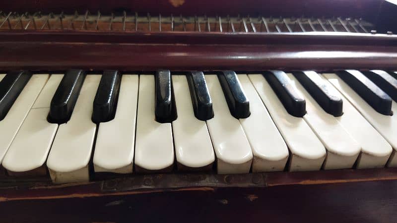 original German jubbilet Harmonium for sale 7