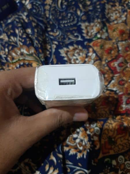 viva brand vivo charger 2