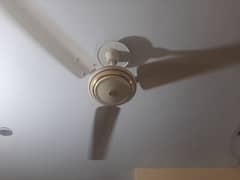 2 ceiling fan for sale 10/10 conditions