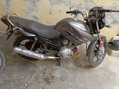 YAMAHA YBR