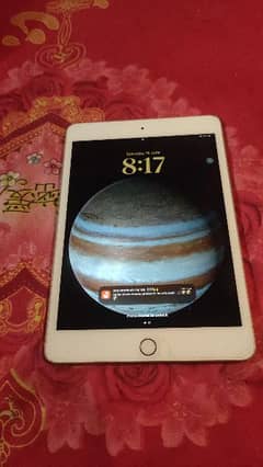 Ipad mini 5 with case