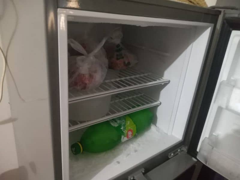 pell fridge 2