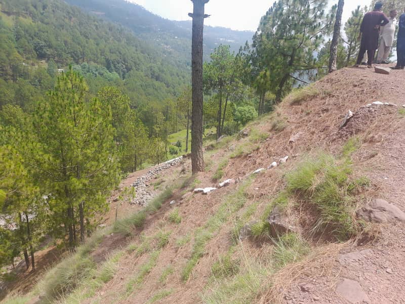 Murree Musyari 25x50 plot for sale 5