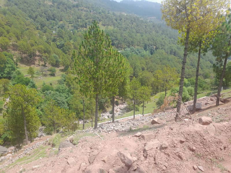 Murree Musyari 25x50 plot for sale 9