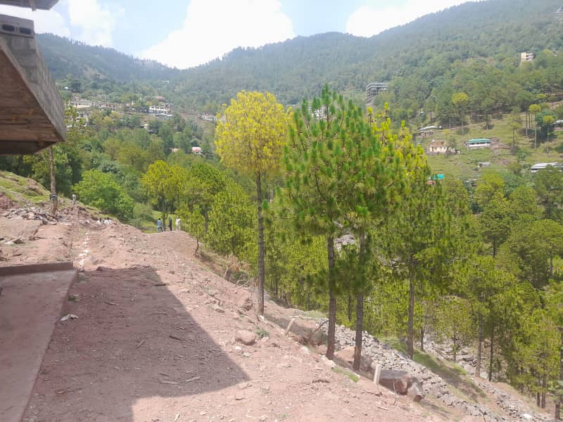 Murree Musyari 25x50 plot for sale 15