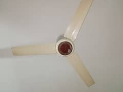 Second Hand Fan in Better condition