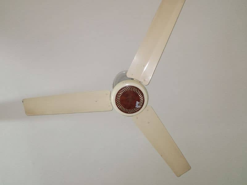 Second Hand Fan in Better condition 2