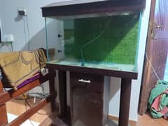 Fish Aquarium