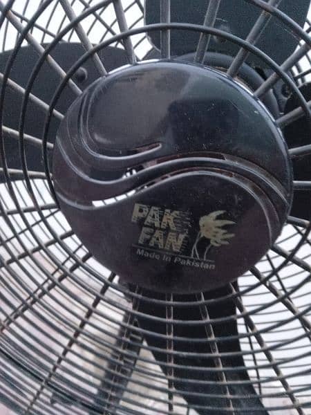 PAK FAN PEDESTAL FAN 24 INCH BLACK COLOR 5