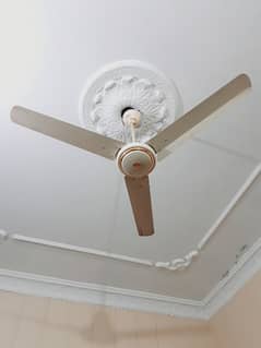 Ceiling Fan