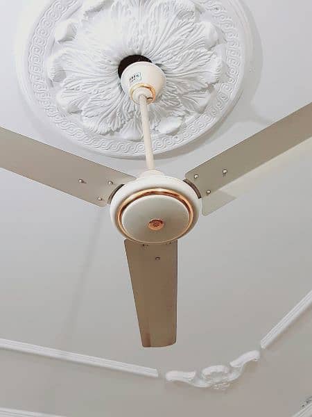 Ceiling Fan 2