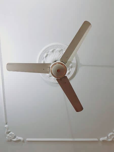 Ceiling Fan 3