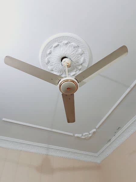 Ceiling Fan 4