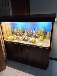 Glass Aquarium / Fish Tank 0