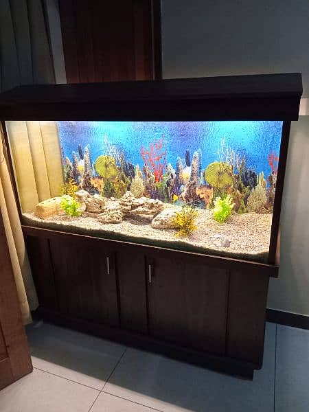 Glass Aquarium / Fish Tank 0