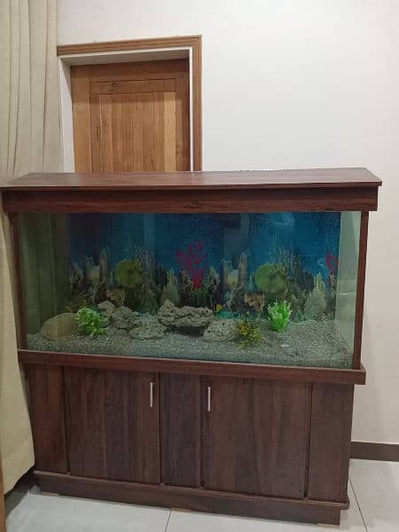 Glass Aquarium / Fish Tank 1