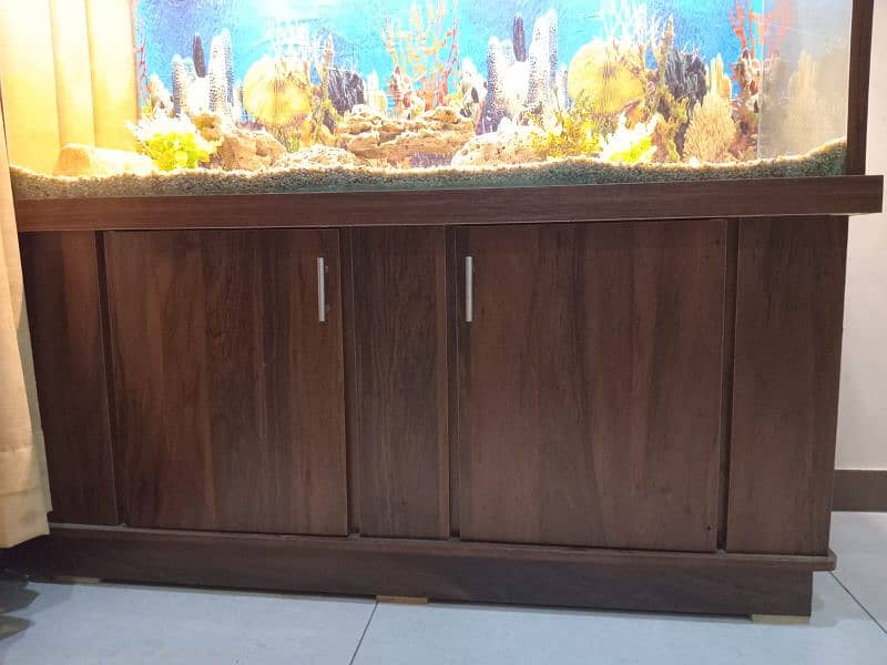 Glass Aquarium / Fish Tank 2