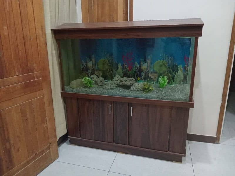 Glass Aquarium / Fish Tank 3