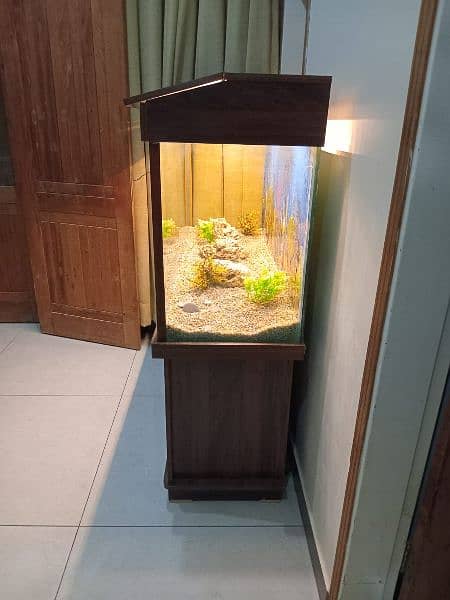 Glass Aquarium / Fish Tank 4