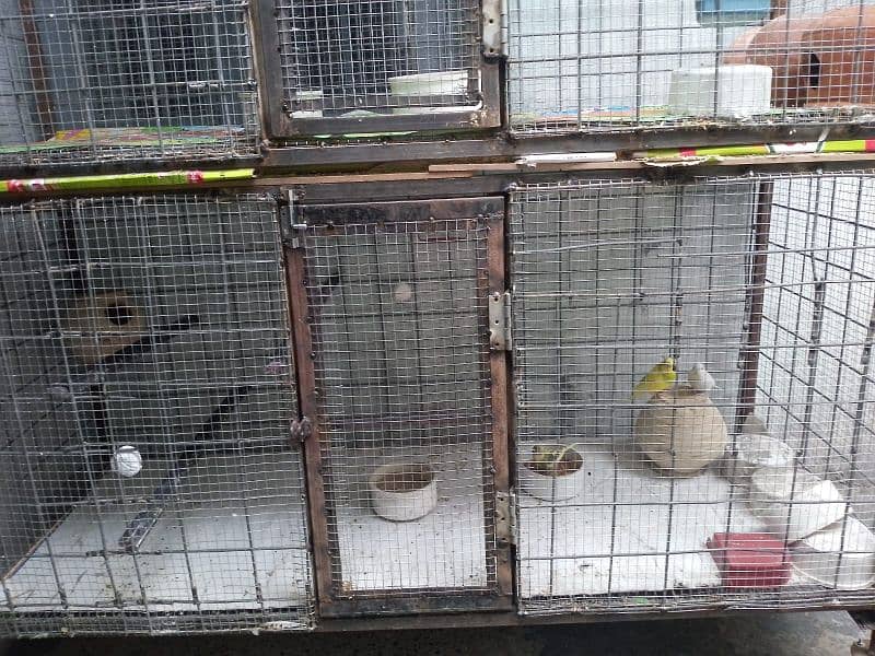 cages for sale 3