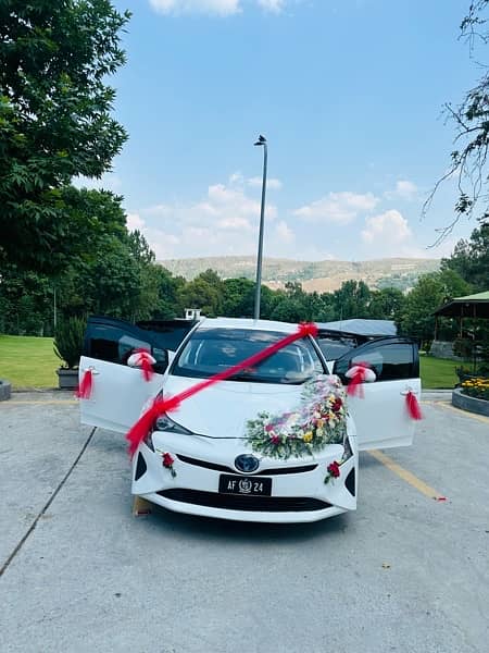 wedding and tourism prius prime car 0