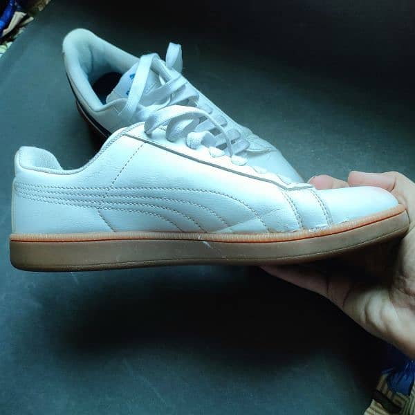 Original Puma Branded Shoes | EUR 40 | Condition 8/10 1