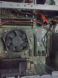 AMD 10