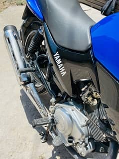 YAMAHA YBR125 sports