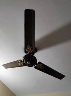 2 Ceiling Fan in Working Condition