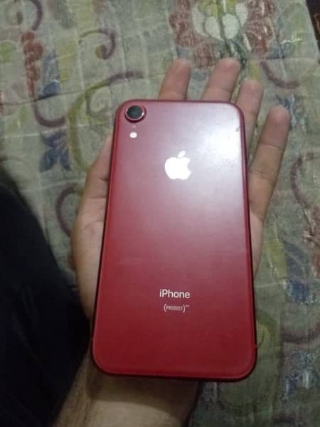 Iphone XR non pta 2