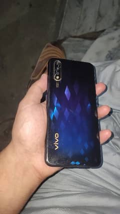 vivo