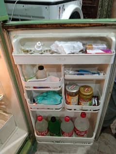 singer company refrigerator medium size best cooling ha
