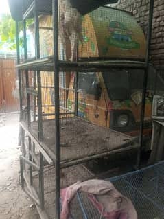 Three portion cage for all types of birds