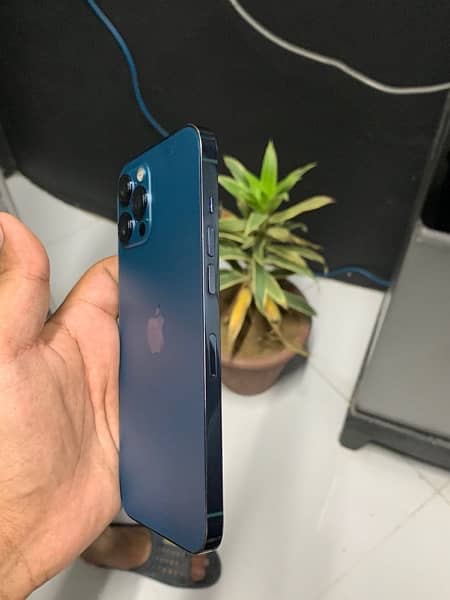 iphone 12 pro max pta approved 2
