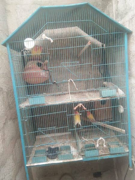 3 Portion Cage 0