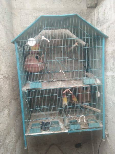 3 Portion Cage 1