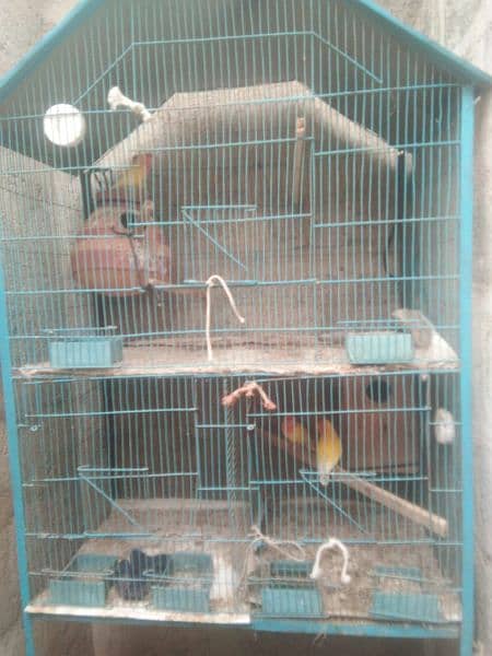 3 Portion Cage 4