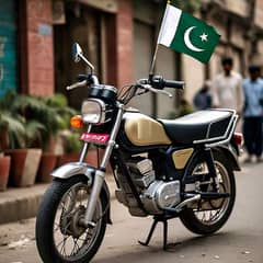 Flag Rod for Honda Bike , with Pakistan Flag 0
