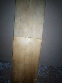 Had ball cricket bat