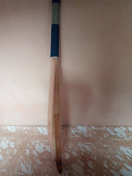 Hard ball cricket bat 1