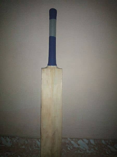 Hard ball cricket bat 2
