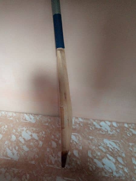 Hard ball cricket bat 3