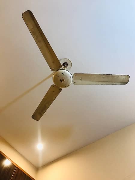 Three Fan for sale 1