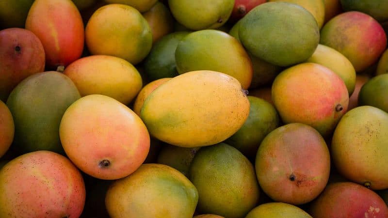 Multani Mangoes Available 0